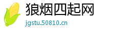 狼烟四起网